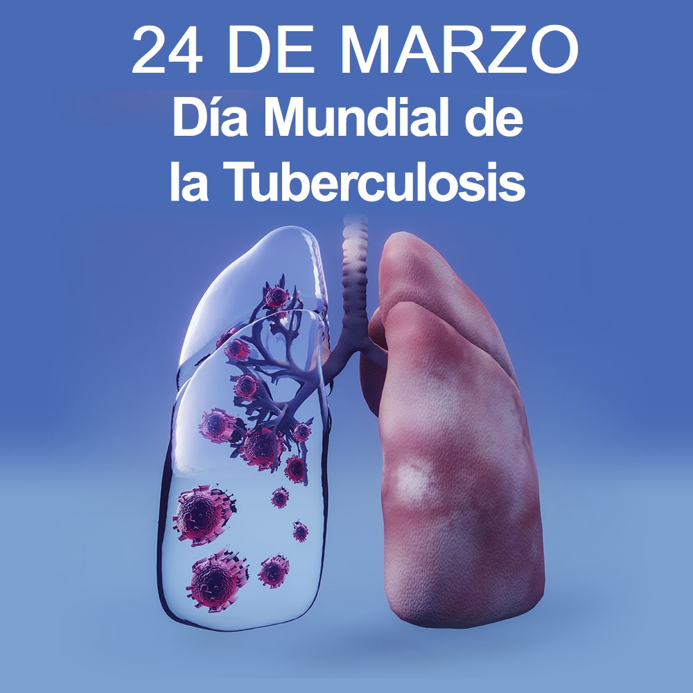 ℝ𝔸𝔽𝔸 𝕊𝔼𝔽 tweet media