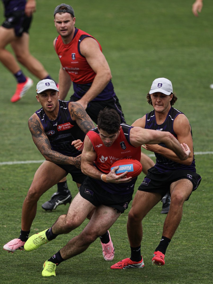 Fremantle Dockers tweet media