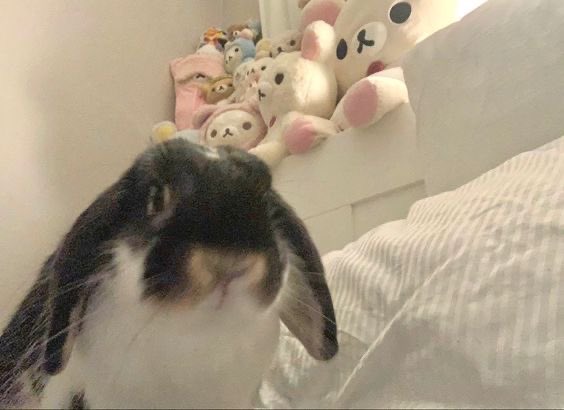 ʚ riri ɞ tweet media