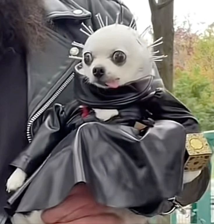 🍂🌲Nerav 1019 🌲🍂 tweet media