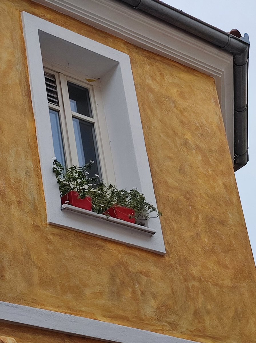 eleutheria tweet media