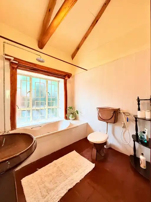 Daniel Many tweet media