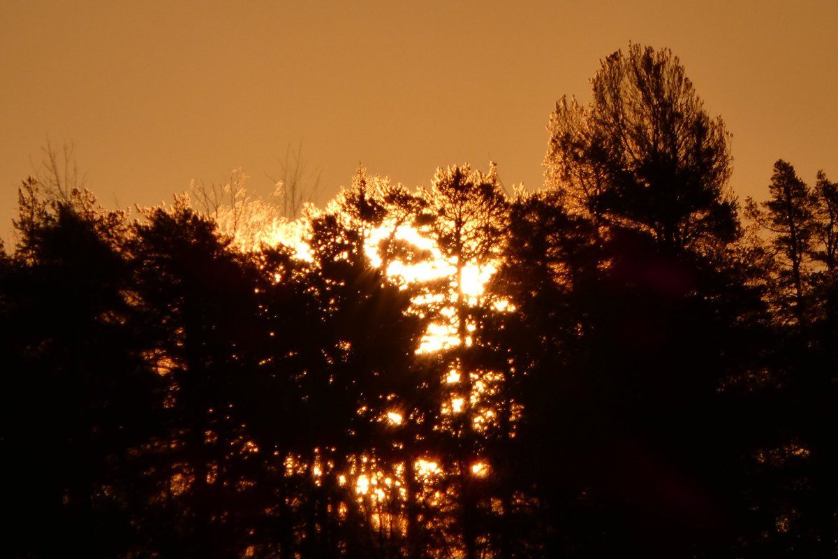 Patrick Hublin tweet media