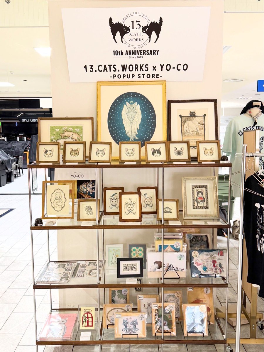 13.CATS.WORKS tweet media