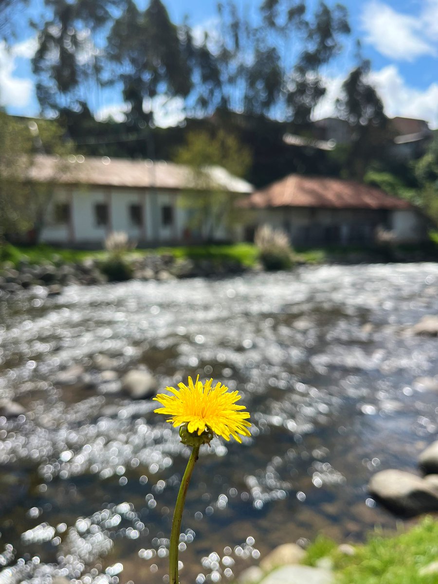 Leonel Fuentes Sáenz de Viteri tweet media