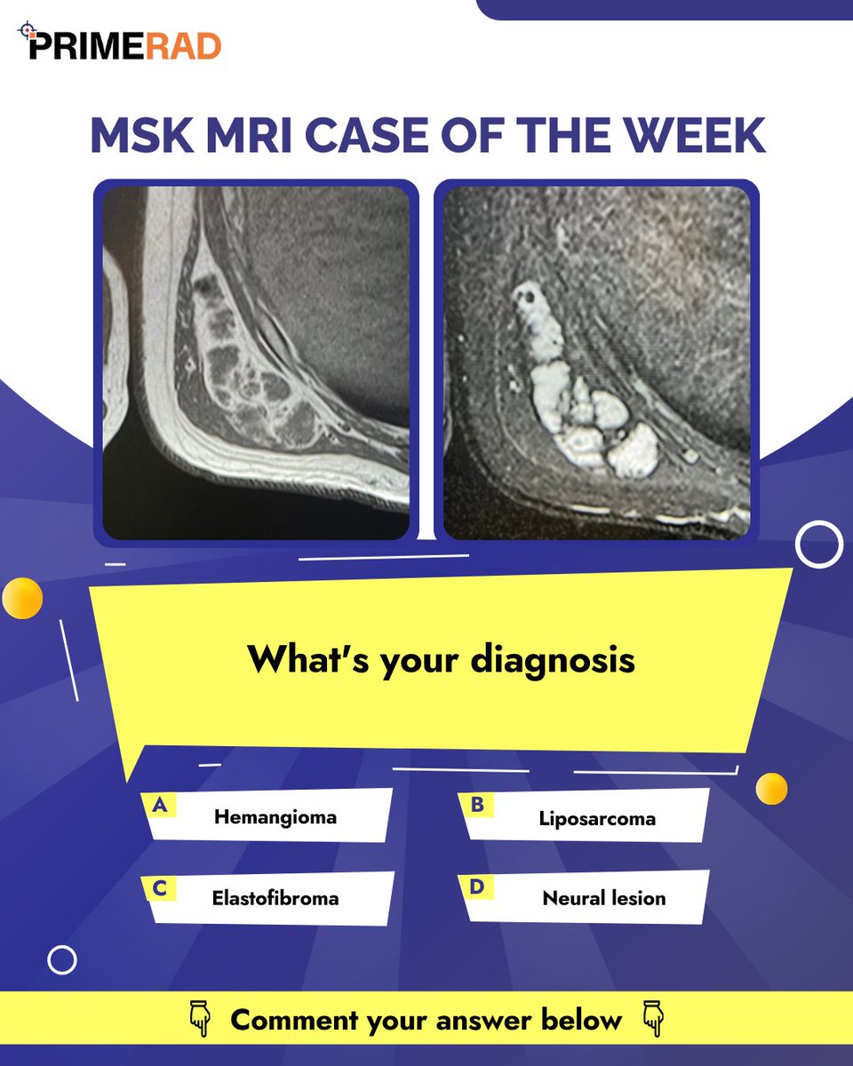 PrimeRad Academy tweet media