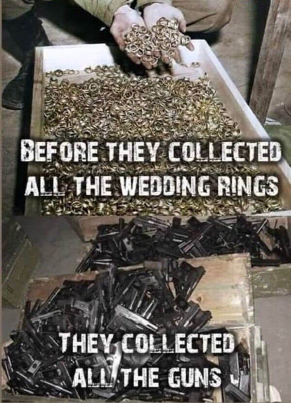 Steve 🇺🇸 tweet media