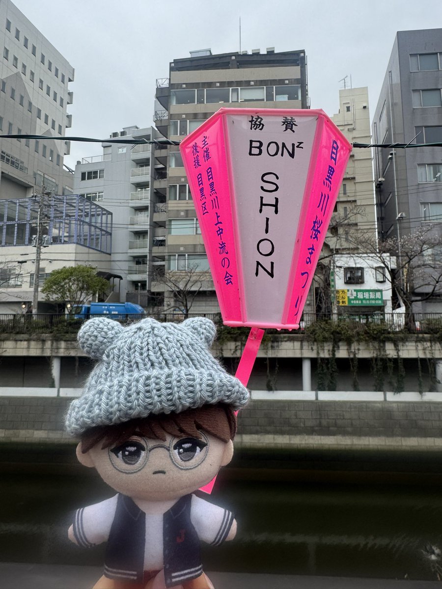 GttPmogu's tweet photo. 汐恩のぼんぼりも見て来たよ🩶🌸

#鶴房汐恩 #BONBON.
#目黒川桜まつり https://t.co/JmEsZiadea