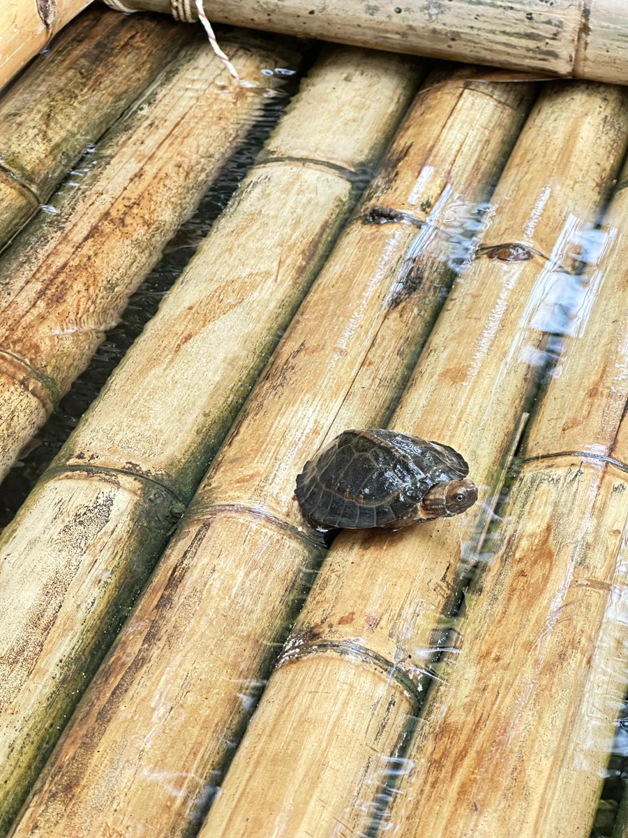 Chouette💙 tweet media