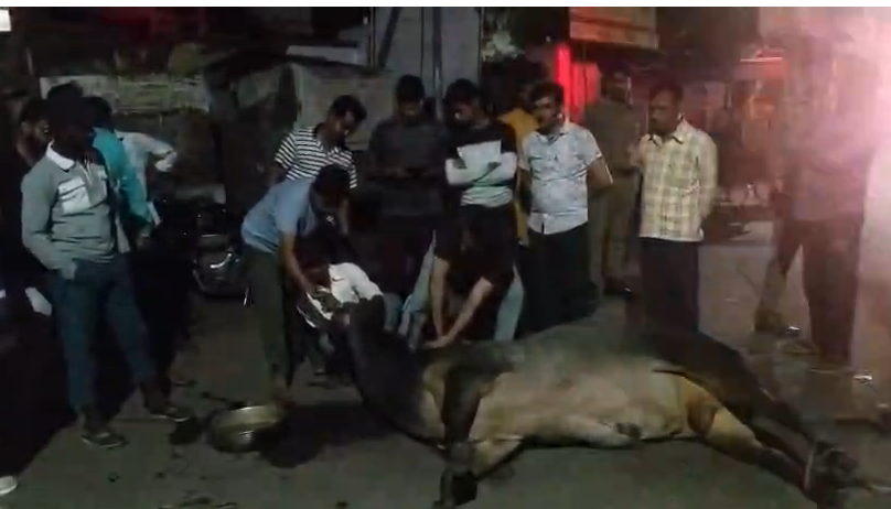 bstvlive's tweet image. हमीरपुर : 1.5 घंटे तक सड़क पर तड़पता रहा गौवंश 

➡डॉ. के पहुंचने से पहले ही गौवंश ने तोड़ा दम 
➡हिन्दू संगठनों ने लगाया लापरवाही का आरोप
➡शहर कोतवाली के जिला अस्पताल के पास का मामला 

#Hamirpur #UttarPradesh #Incident