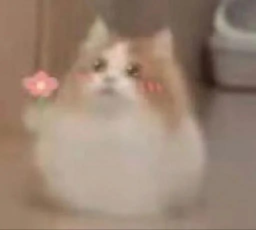 ִ ࣪ ˖ ࣪ 𝚈𝚞𝚔𝚊 ! ᰔ ִ ׄ (@yukit4_) / Posts / X