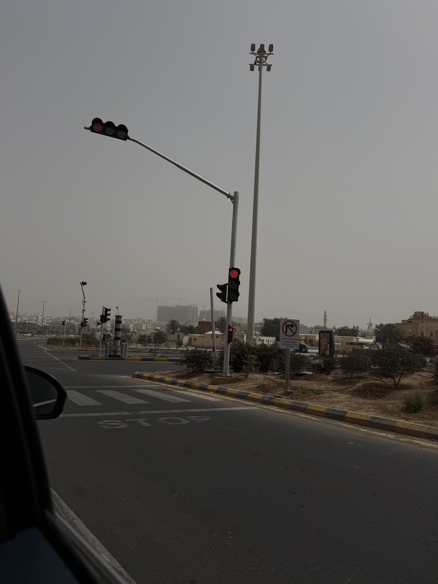 هديل🕊 tweet media