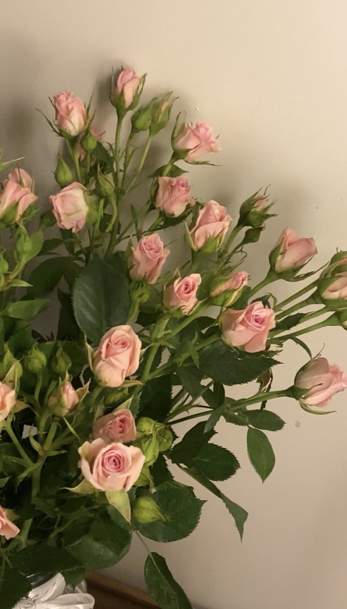 zmh_17's tweet photo. ~🌷~ https://t.co/WfT3ahK38c