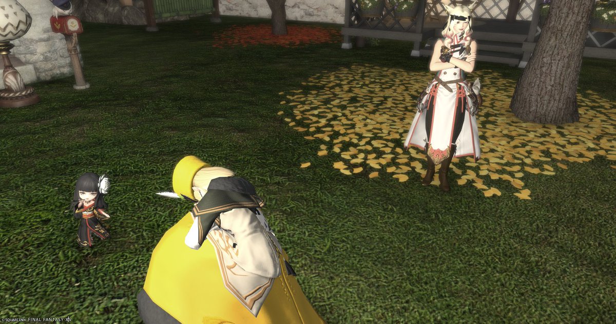 ElisJ_ff14's tweet photo. 今日はちょっとうろちょろしてみました https://t.co/60kSE7W5Vz