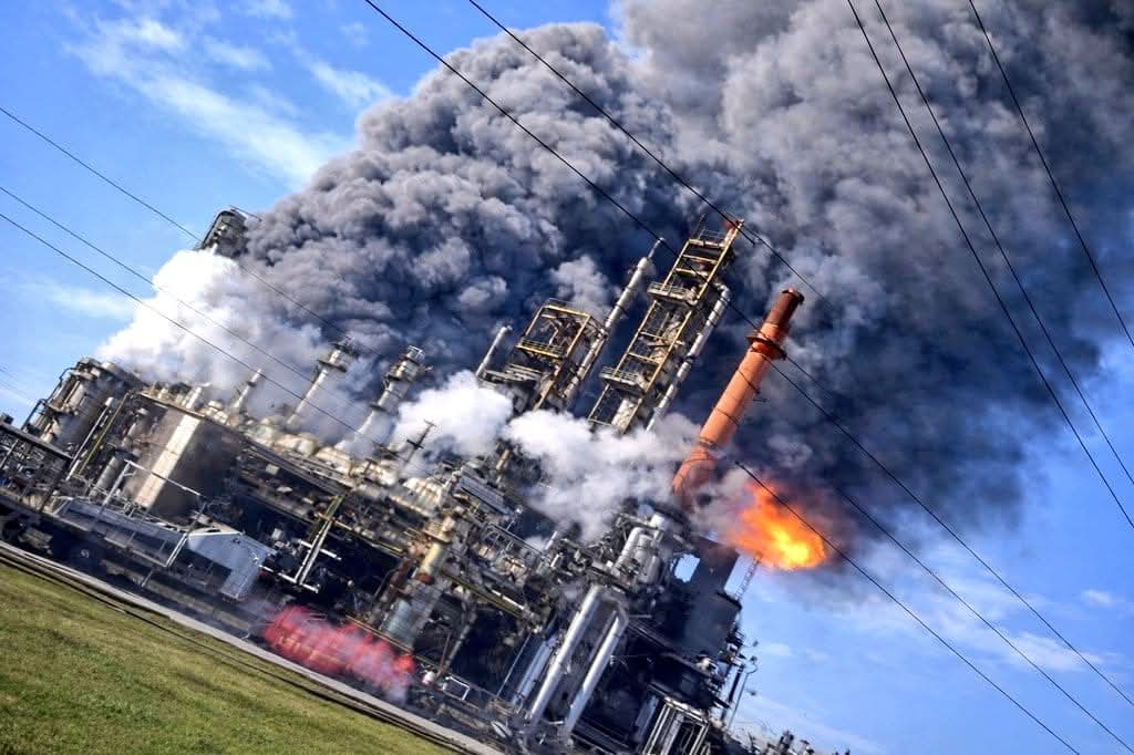 M_Mohsen tweet media