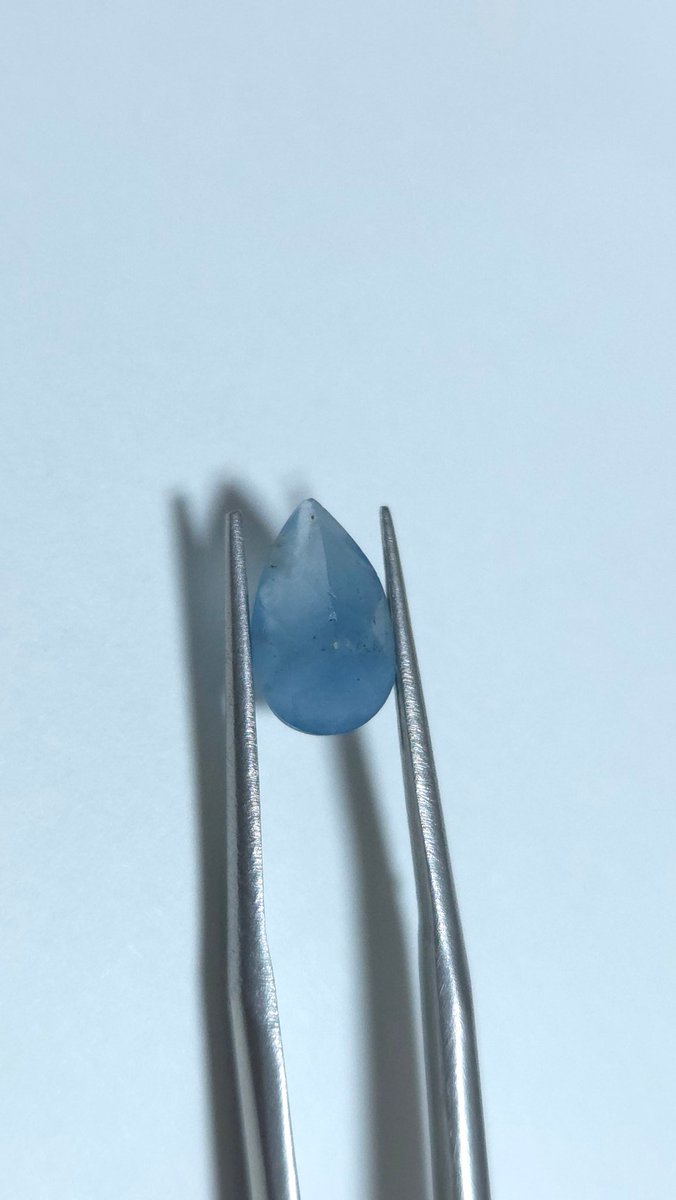 파챙이 tweet media