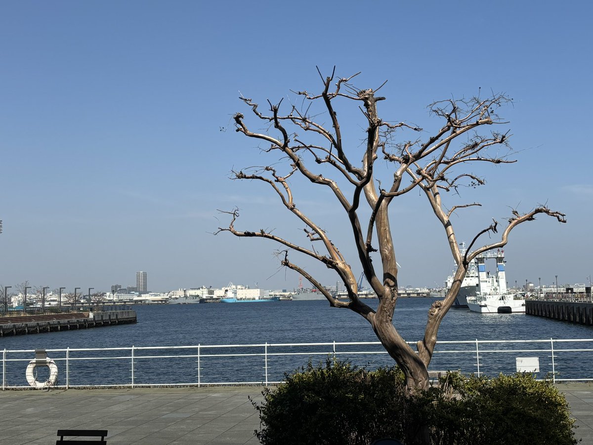 清水のぶ子 tweet media