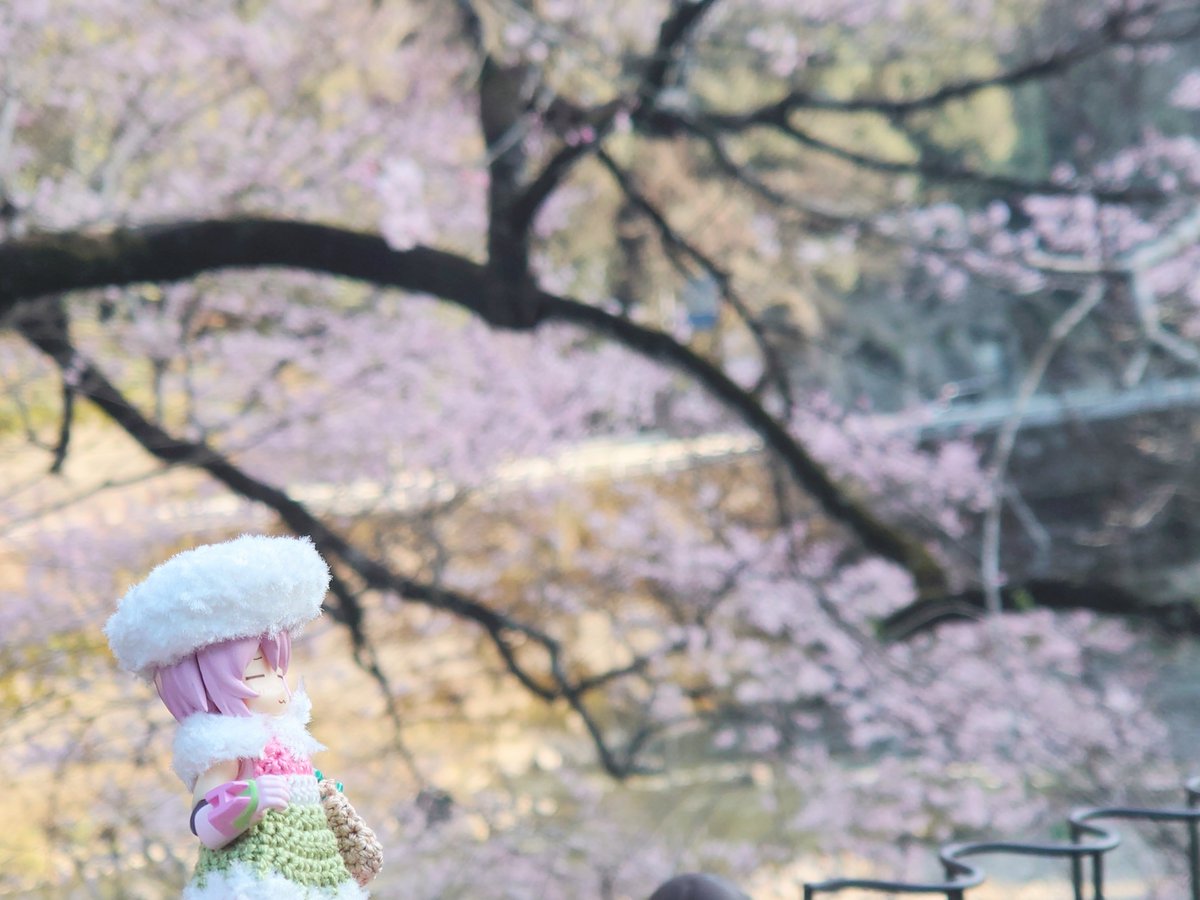 omi124875 tweet media