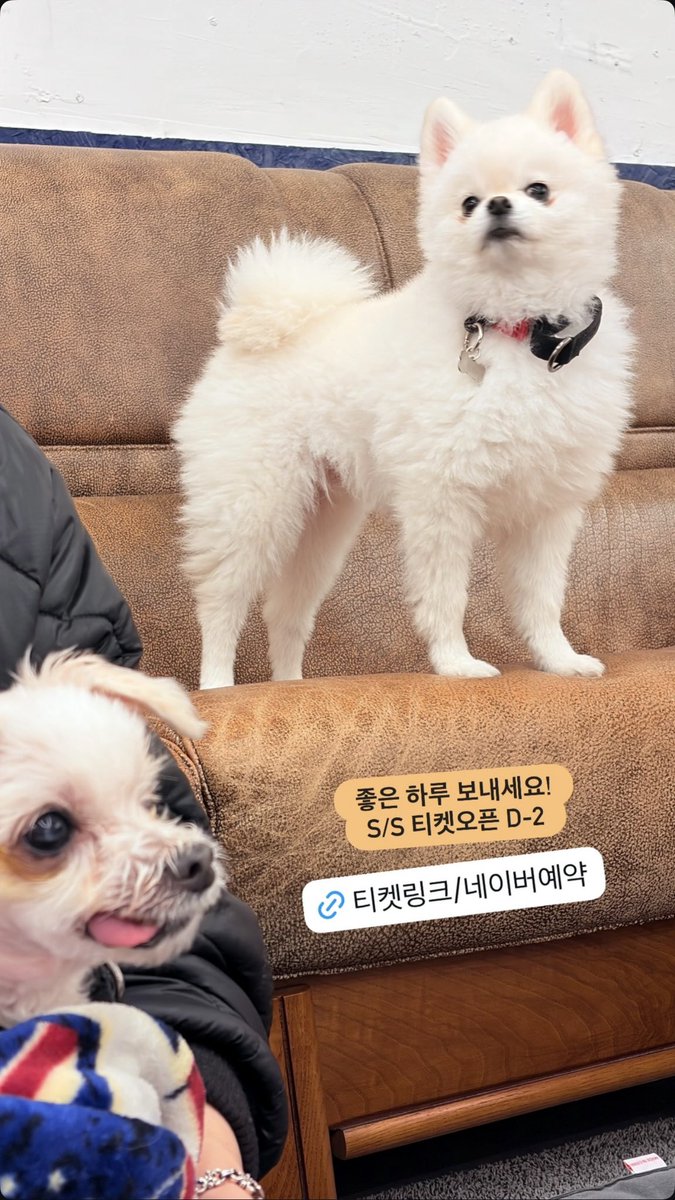 out of context nc tweet media