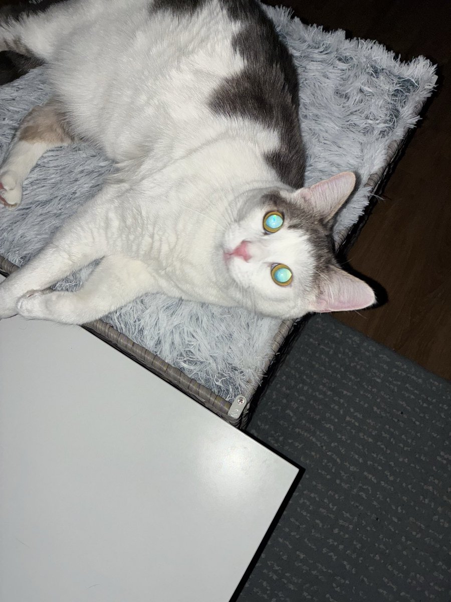 LukeTheRunner tweet media