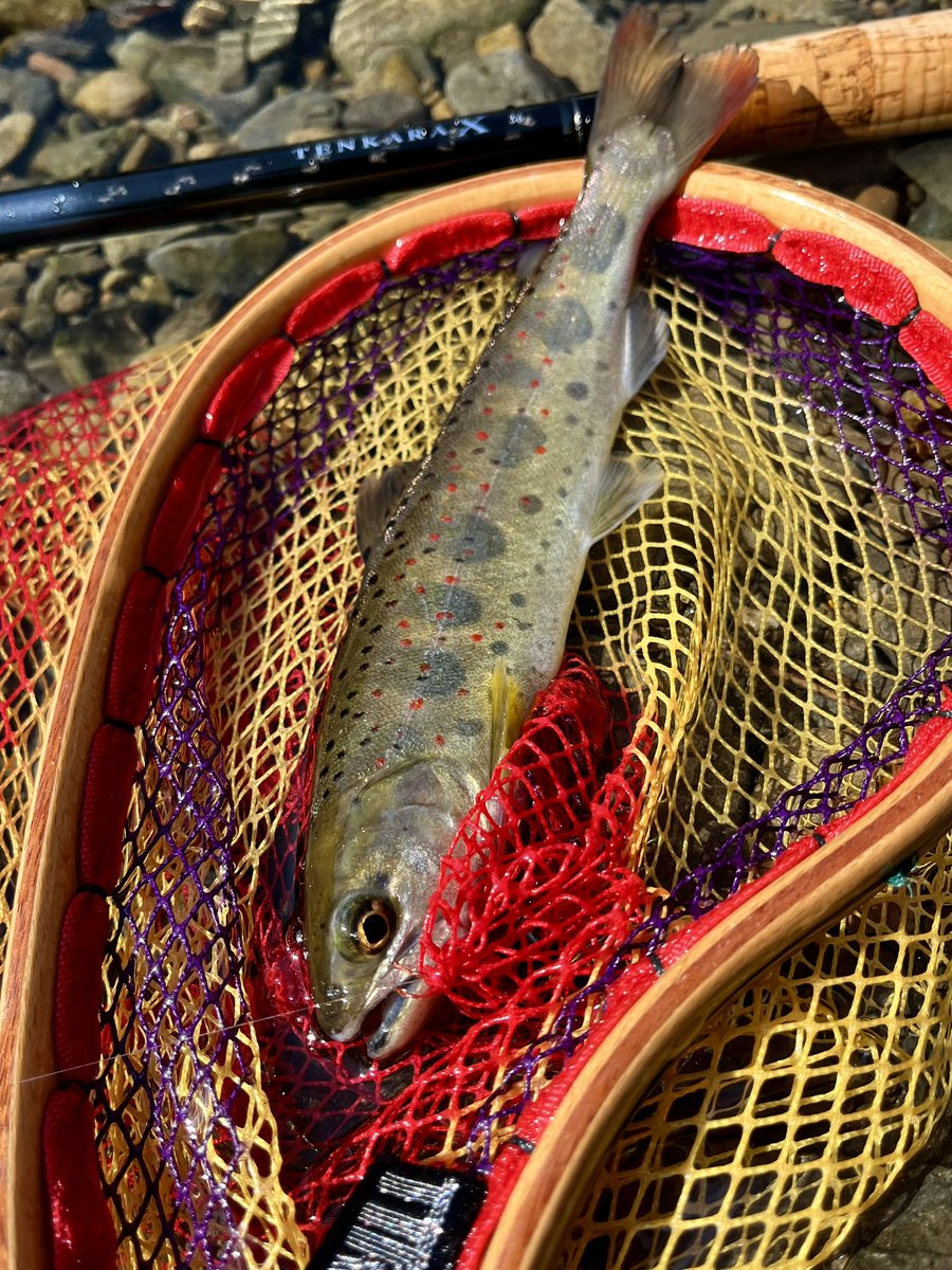 釣男（Tsurio） tweet media