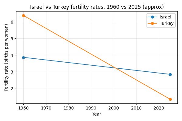 Turkish Archives tweet media