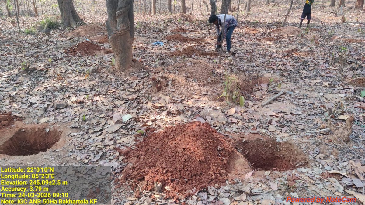 DFO Rourkela tweet media