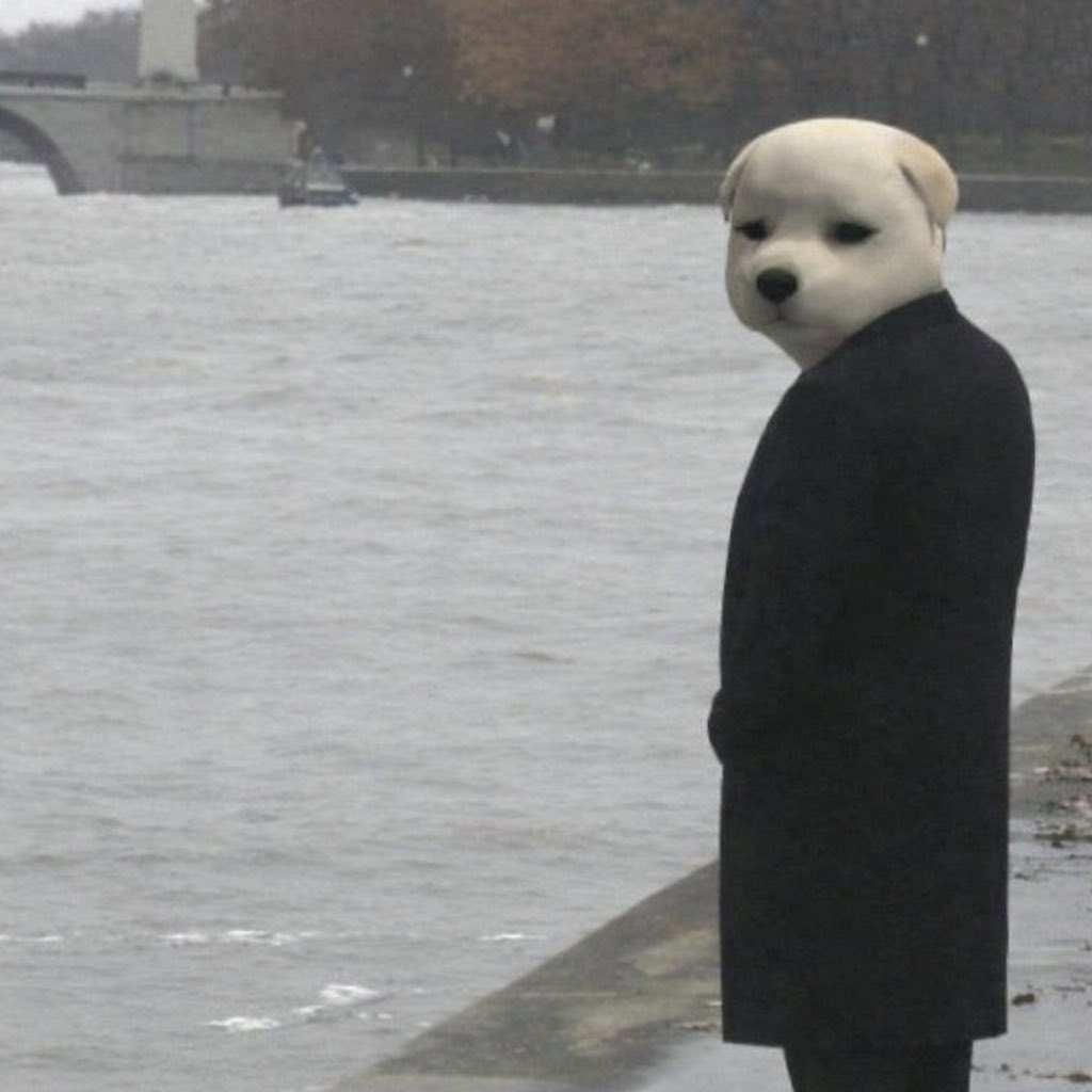 Stinger/https://arc tweet media