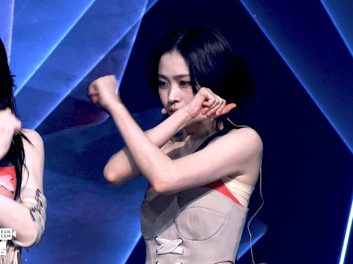 doryuseemycat tweet media