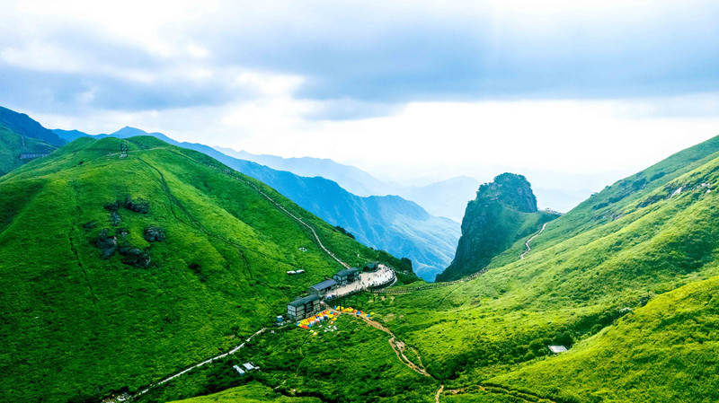 Felice Gemelli tweet media