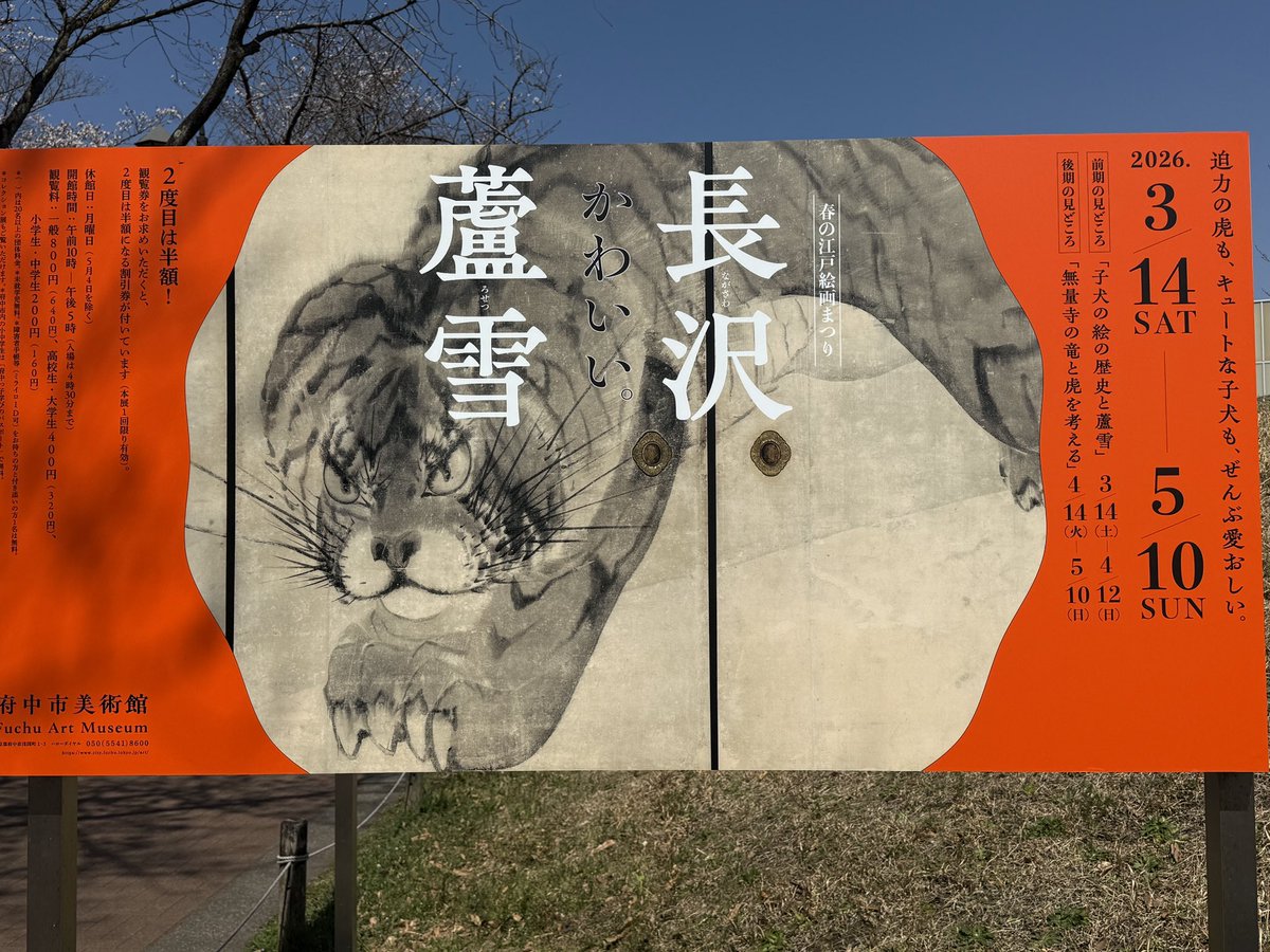 ゆいゆか🦦 tweet media