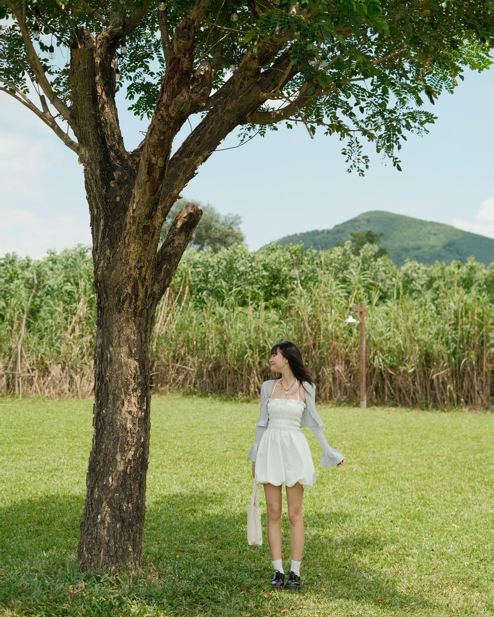 anne lorent tweet media