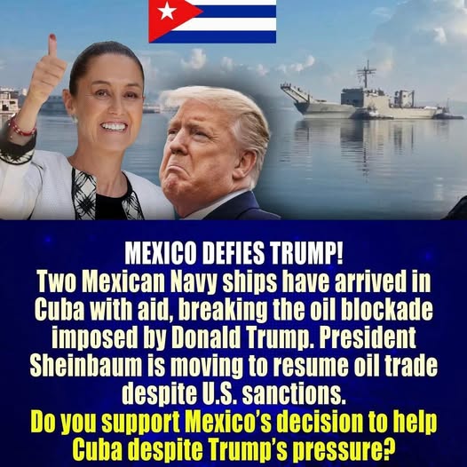 Poppy 💫🇦🇺☮🍅🥒🥕🥭🍊🍋 tweet media