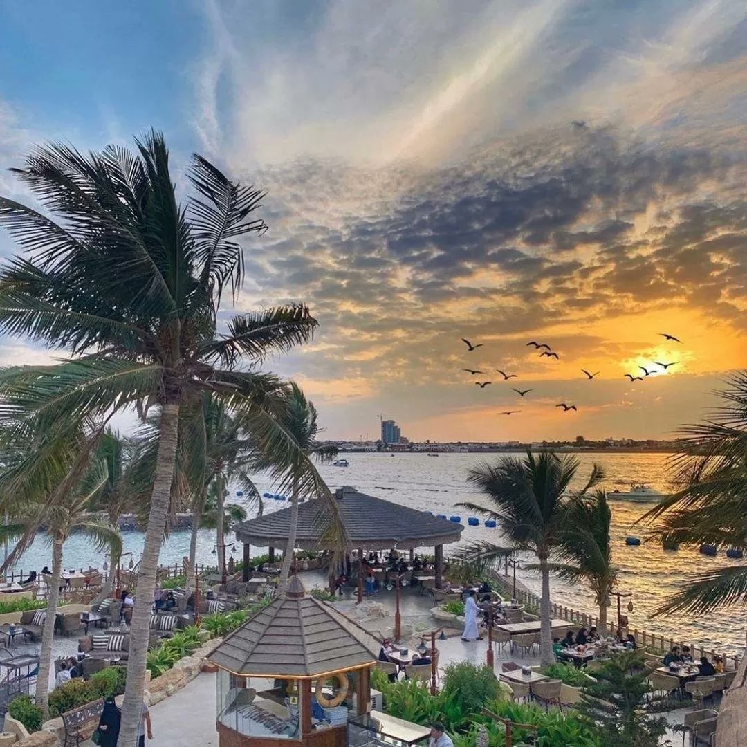 محمد الناصر الشهري tweet media