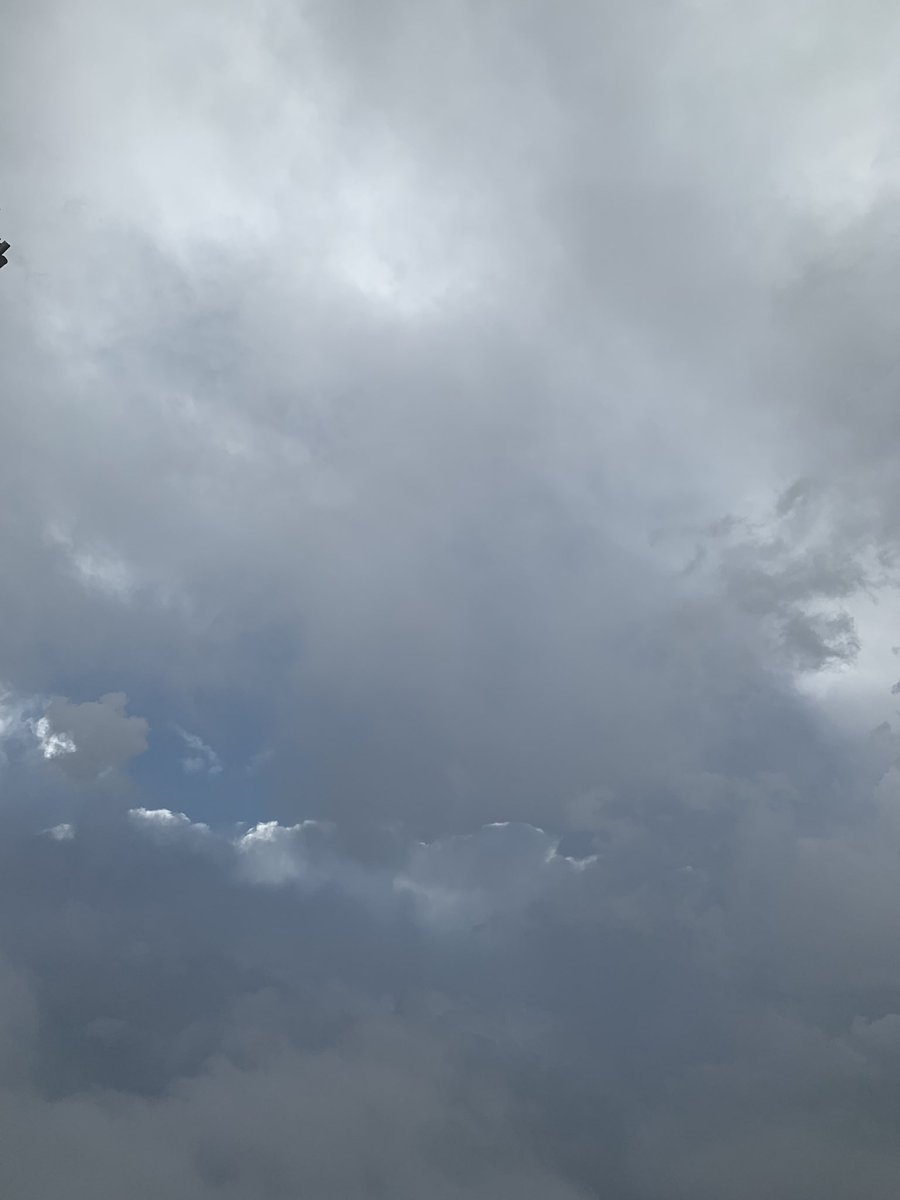 "صباح الخير
كُونِي طفلةً، كُونِي تراتيلاً لهذا الصمتِ
فرّي عن جذوعِ النخلِ واعْتَنِقي دَماً حُرّاً
صباحاً خافقاً بالمنِّ والسَّلْوى
وبالأطفالِ والحَلْوى"