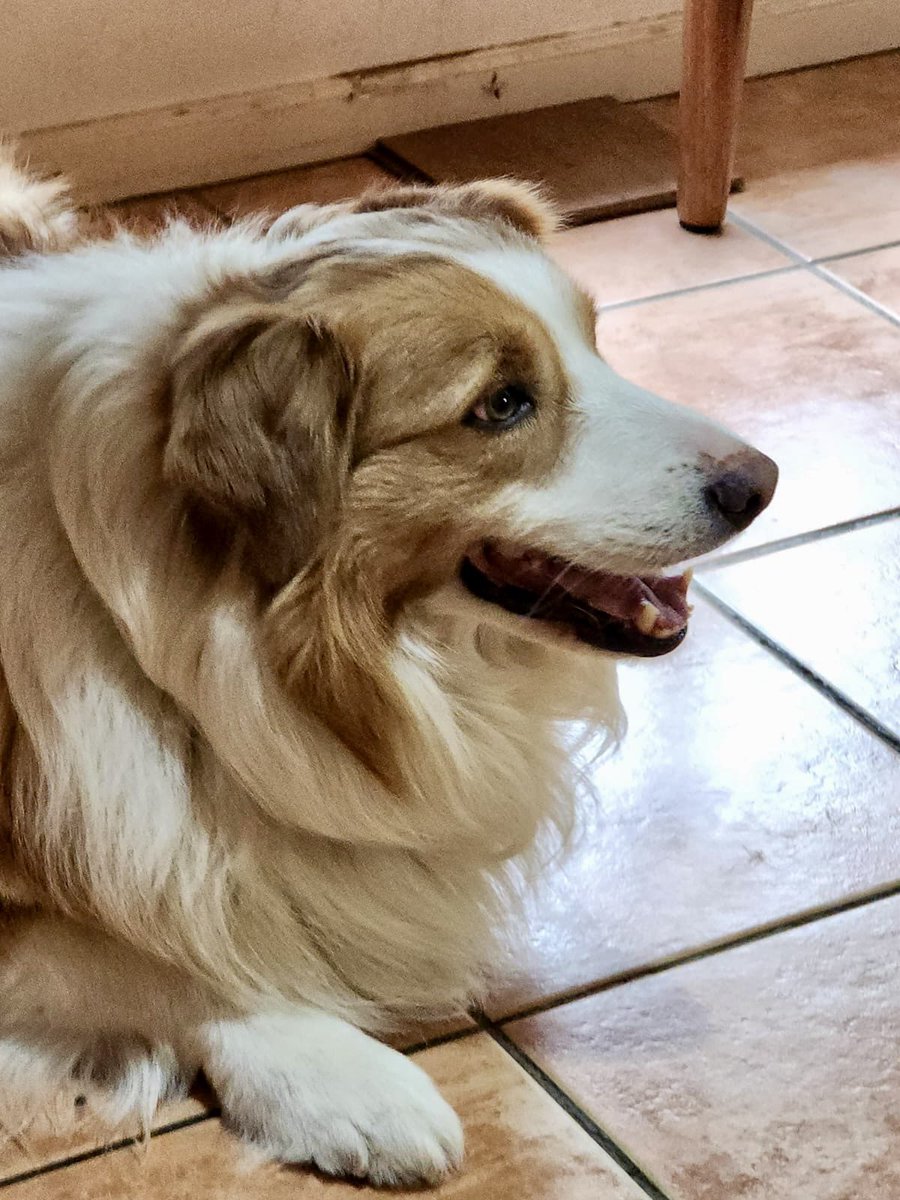 Sadewa Sagara 🥃【PANDAVVA】 tweet media