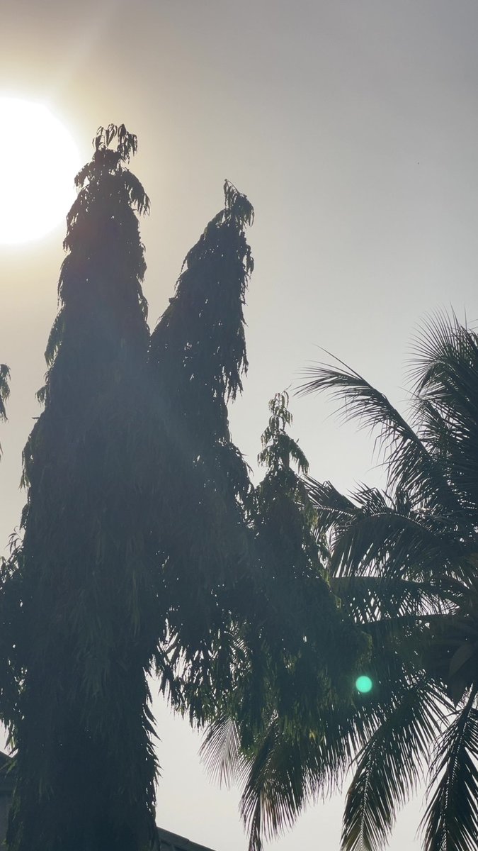 Sudais (❖,❖) tweet media