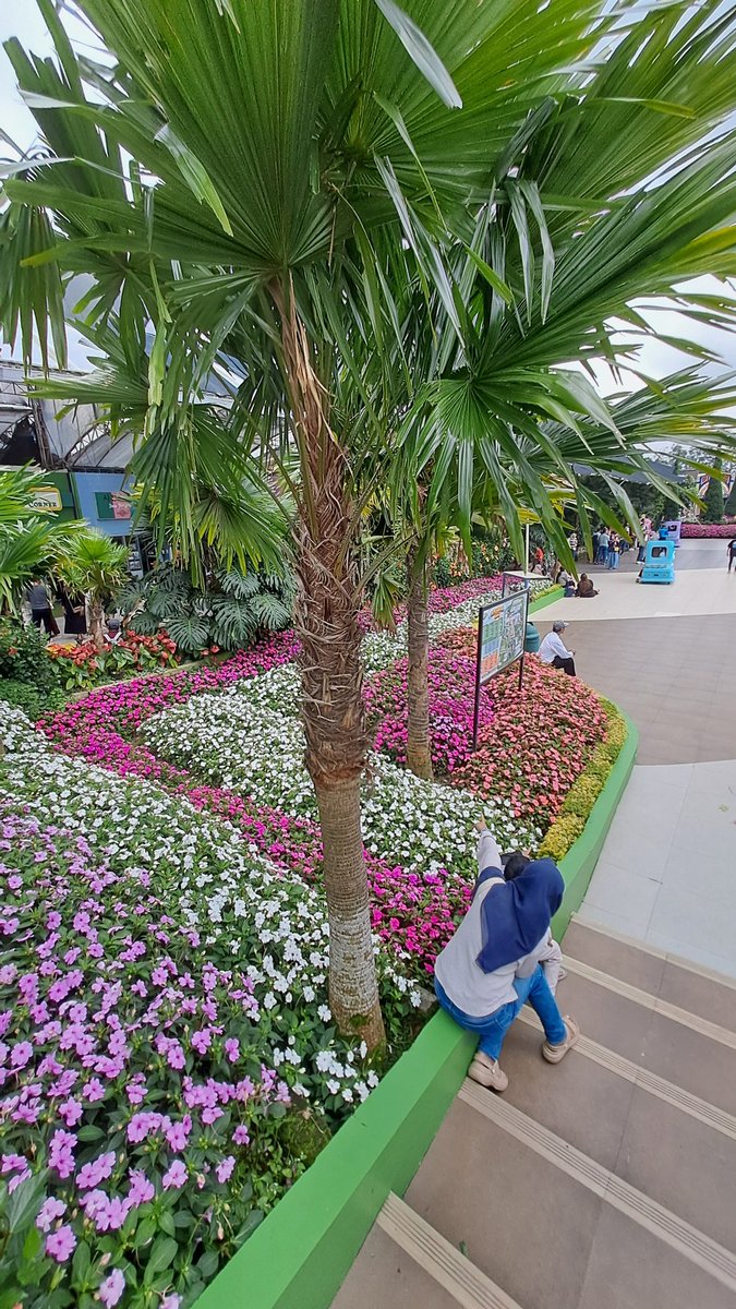 ndah 👩‍🌾🌹🌻 tweet media