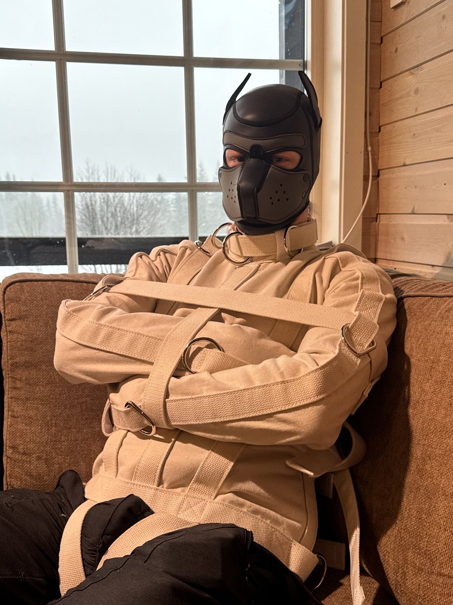 Luke AD🐶🌧 NFC26 tweet media