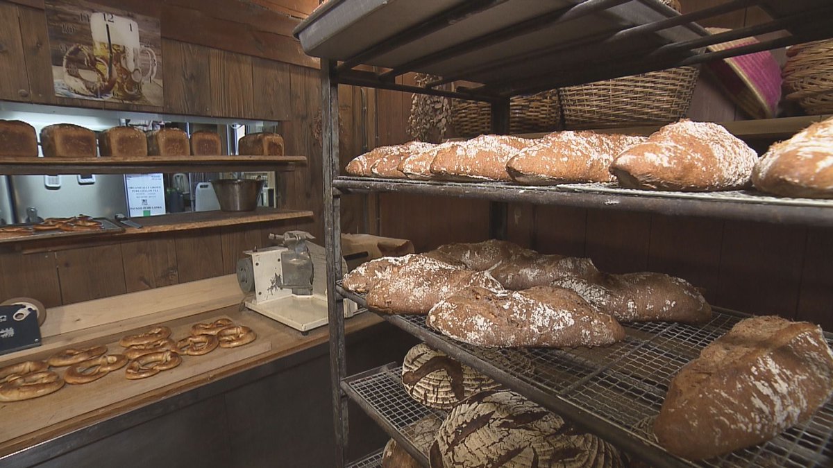 テレビ派 tweet media