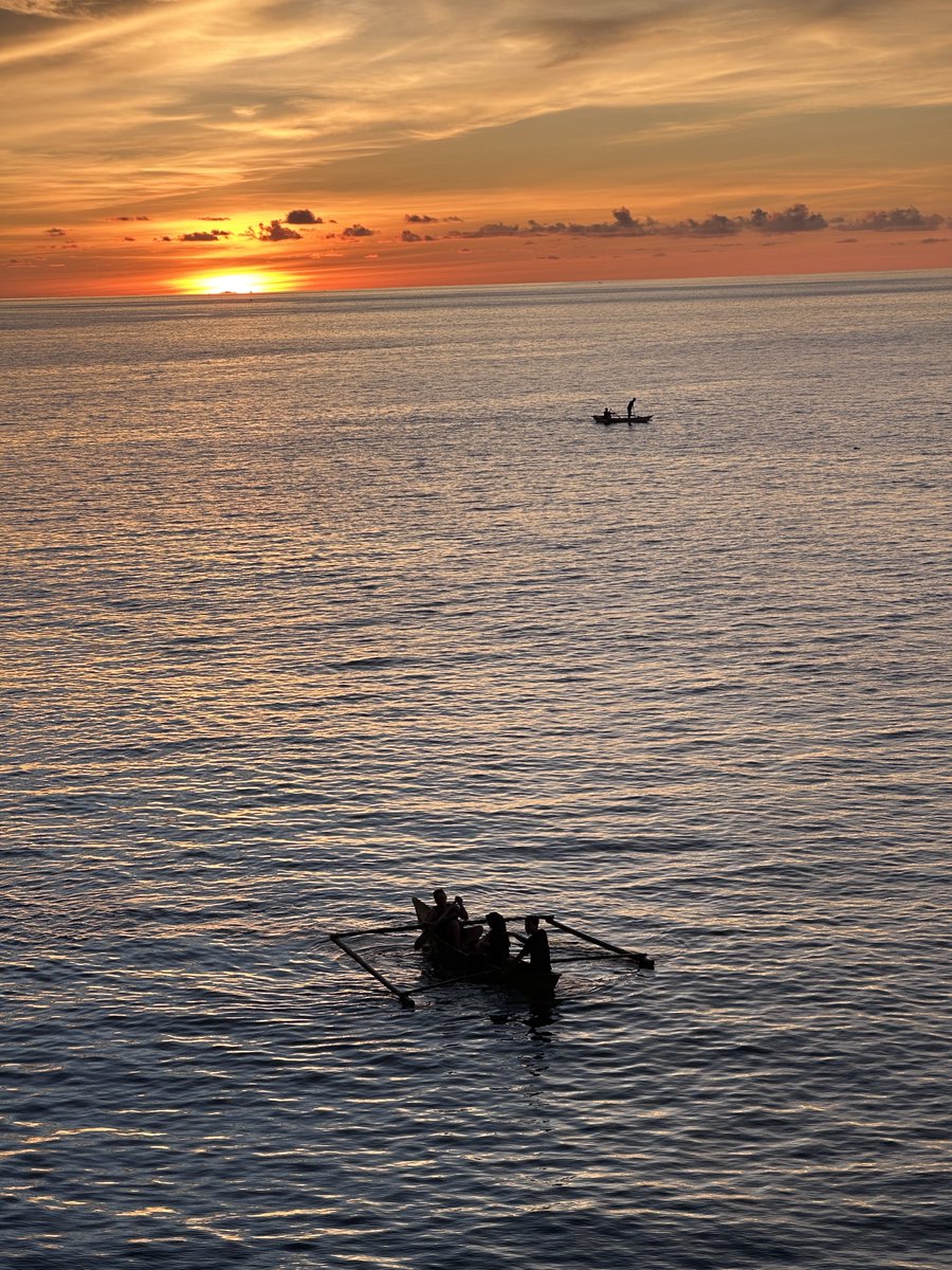 tina 🐣 🦊 🍀 tweet media