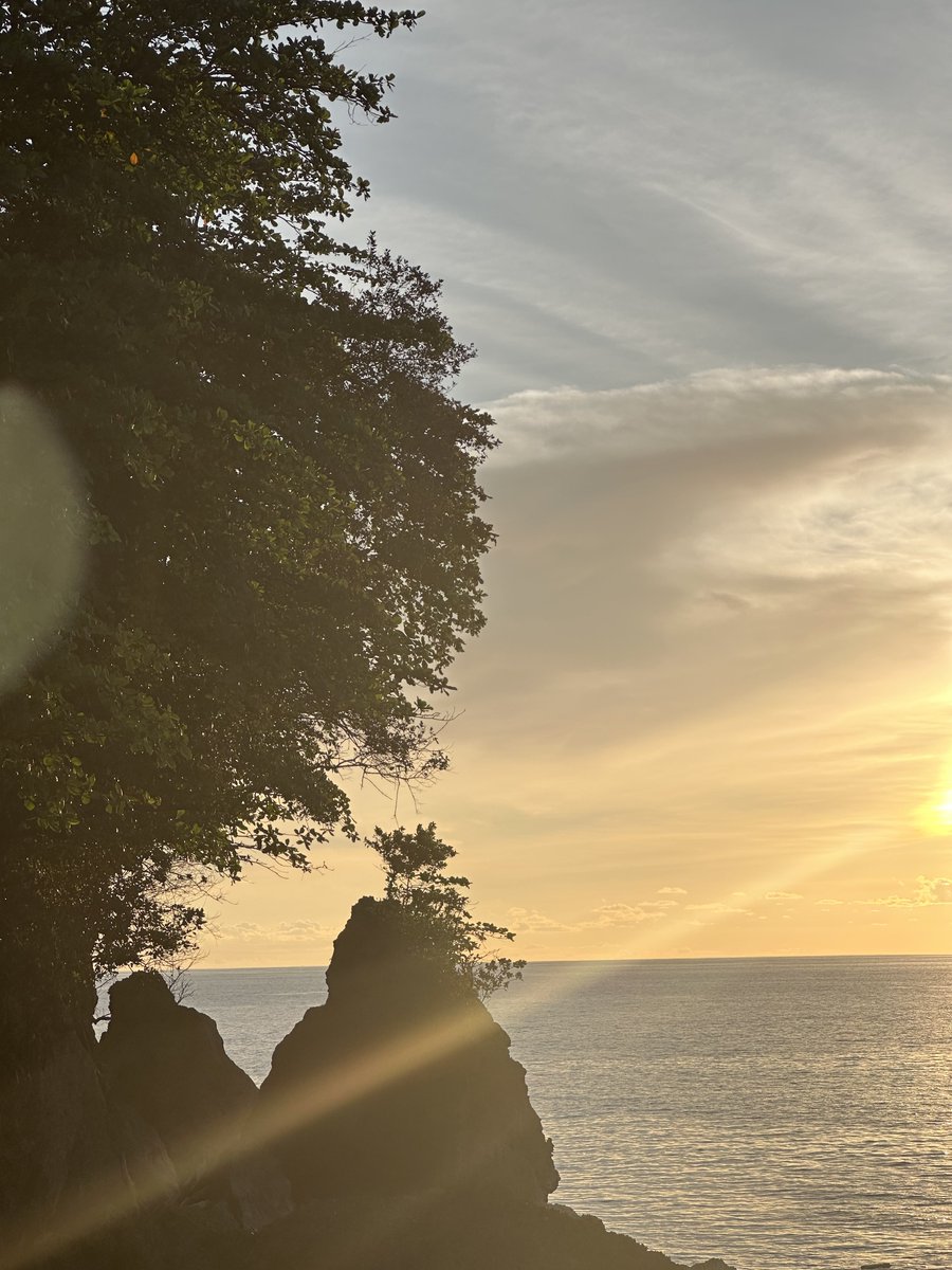 tina 🐣 🦊 🍀 tweet media