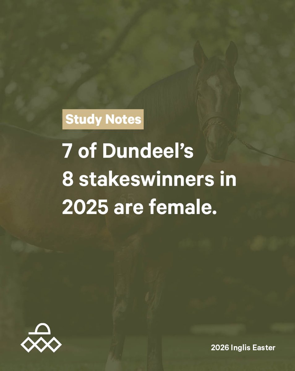 Arrowfield Stud tweet media