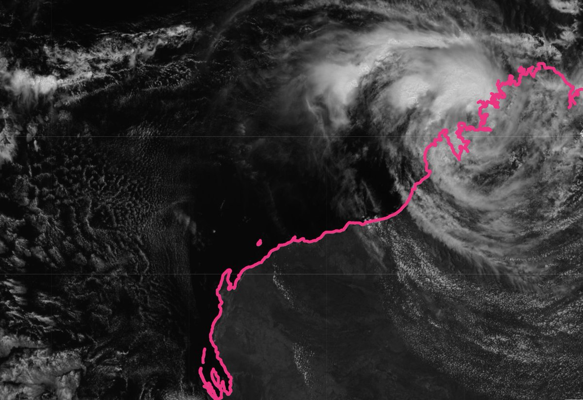 Josh Morgerman tweet media