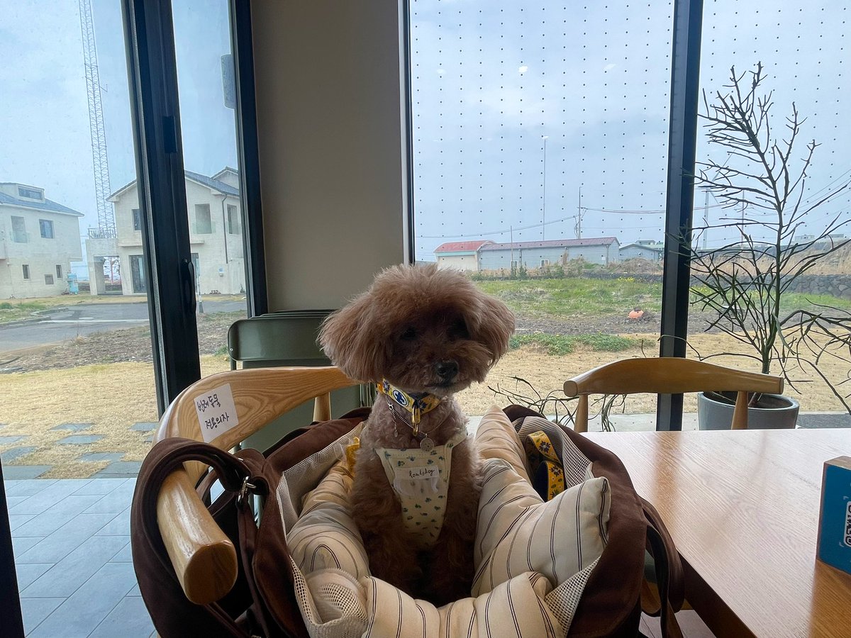 푸순 엄마 tweet media