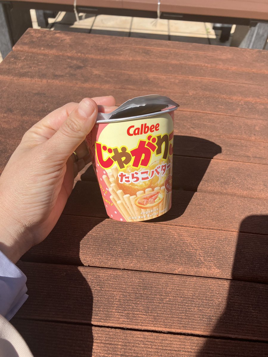 寒竹泉美｜小説家・サイエンスライター tweet media