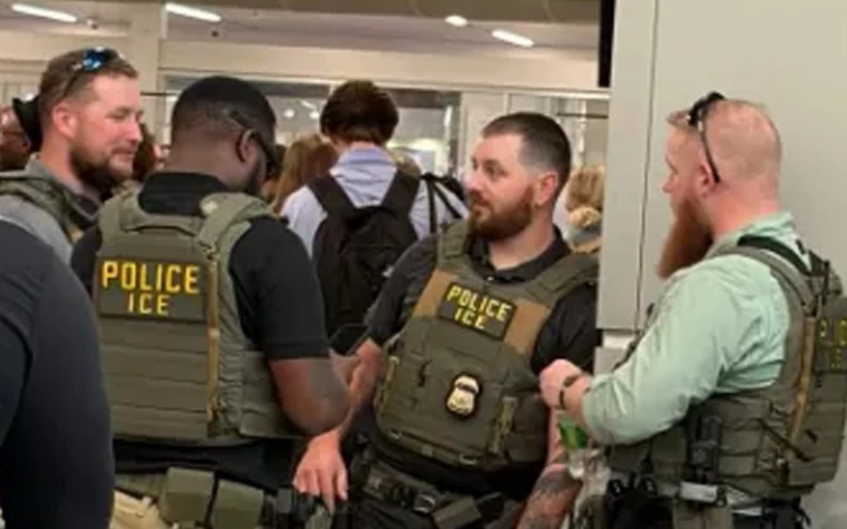 The Needling tweet media