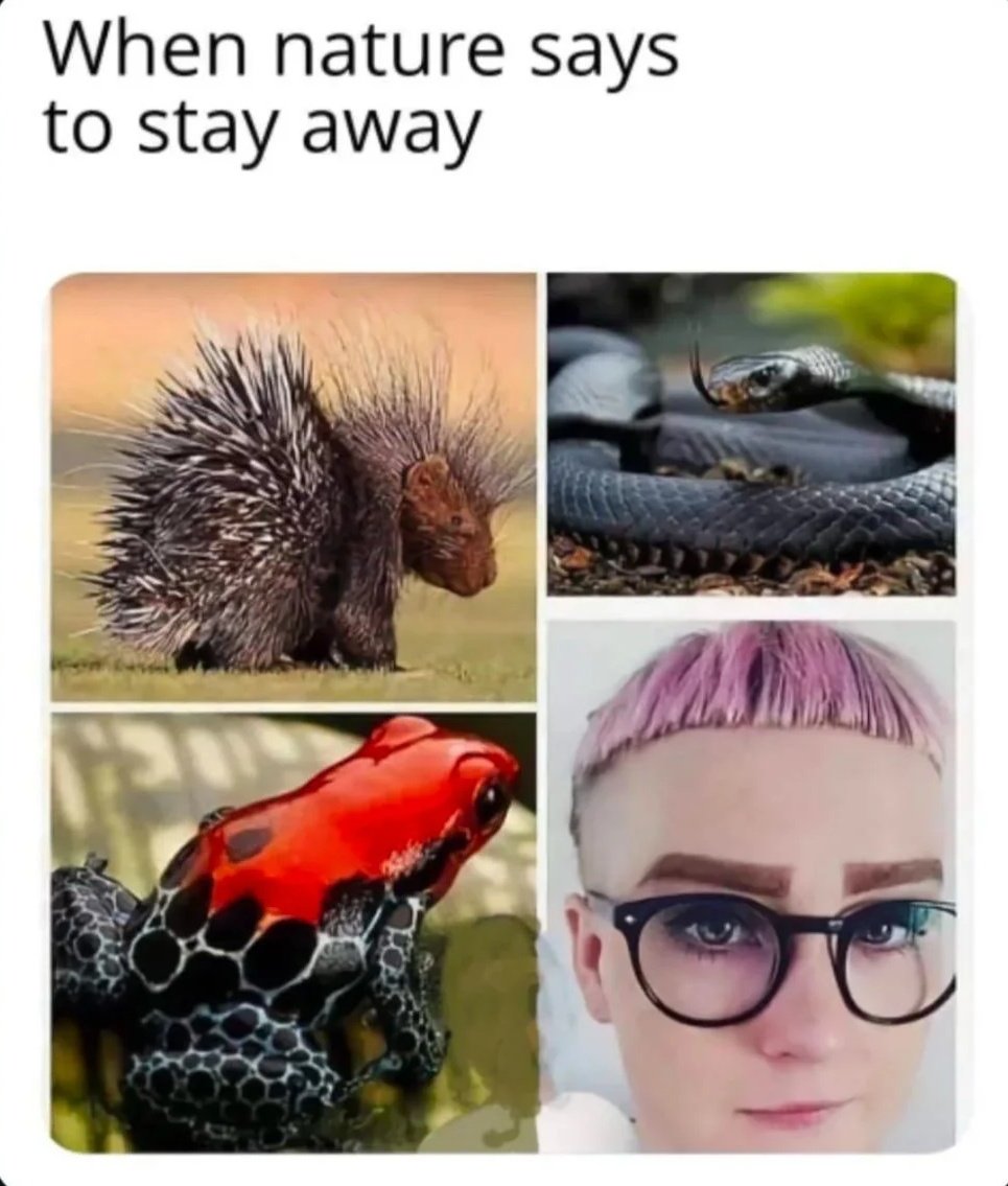 Why women get Ls tweet media