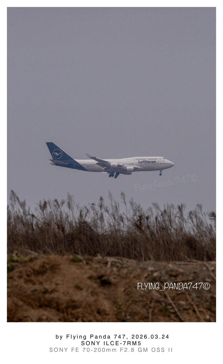 Flying Panda 747 tweet media