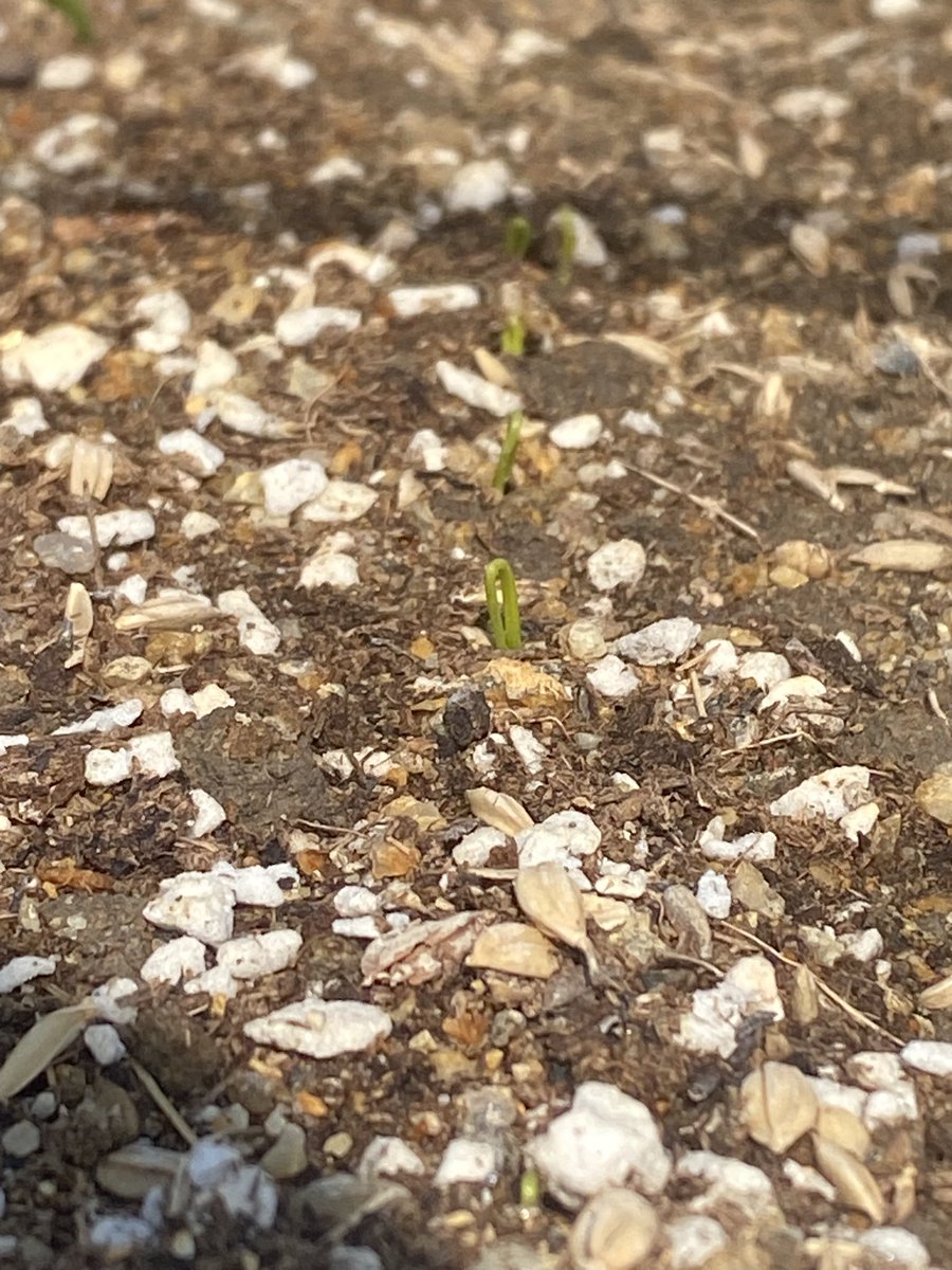 つり勝 tweet media